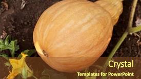  Presentation with heavy equipment larger orange digger - Theme having great harvest - pear-shaped orange pumpkin background and a  colored foreground