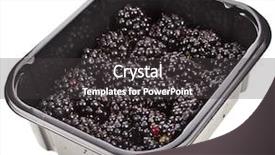  Presentation with plastic container - Audience pleasing PPT layouts consisting of great harvest - ripe blackberries in plastic container backdrop and a  colored foreground