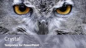  Presentation with great depression - PPT theme having coffee island collage with coffee beans liquid and foam background and a wine colored foreground