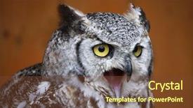  Presentation with tiger - Slide deck consisting of owl bubo virginianus also known background and a tawny brown colored foreground