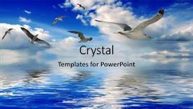  Presentation with great lakes - Slides consisting of great lakes - ocean and birds illustrated background and a light blue colored foreground