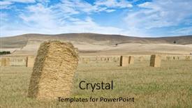  Presentation with sugarcane fields mountains landscape nature - Amazing PPT theme having great landscape of farm fields backdrop and a  colored foreground