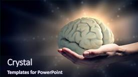  Presentation with mind - Amazing slide deck having great mind ability backdrop and a wine colored foreground