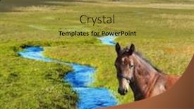  Presentation with america - Amazing slides having great-sleek-mustang-small-puddles backdrop and a gold colored foreground