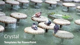  Presentation with salzburg - Presentation theme enhanced with great-spring-trip-to-austria background and a gray colored foreground