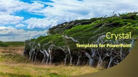  Presentation with new zealand - Audience pleasing presentation design consisting of great-trip-to-new-zealand backdrop and a tawny brown colored foreground