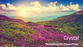  Presentation with pink beauty - Slides having great view of the magic background and a violet colored foreground