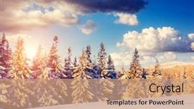  Presentation with 20 year work anniversary - Colorful PPT theme enhanced with great view of winter landscape backdrop and a coral colored foreground
