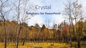  Presentation with eco park - Presentation design consisting of great-wildlife-park-province background and a sky blue colored foreground