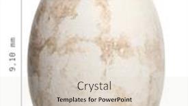  Presentation with flamingo - Audience pleasing theme consisting of greater-flamingo-egg-phoenicopterus-roseus backdrop and a lemonade colored foreground