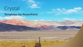 Presentation with chile - Presentation theme enhanced with greater-rhea-or-nandu-ostrich background and a light blue colored foreground