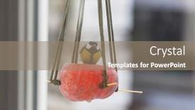  Presentation with seed - Cool new slides with greater-titmouse-bird-sitting backdrop and a coral colored foreground