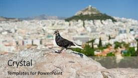  Presentation with hill - Amazing presentation theme having greek ares - pigeon at areopagus hill backdrop and a  colored foreground