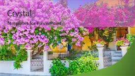  Presentation with bougainvillea - Audience pleasing slide deck consisting of greek culture - house with bougainvillea backdrop and a lilac colored foreground