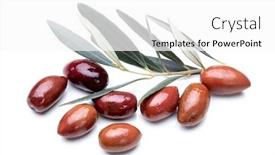  Presentation with greek - PPT layouts featuring greek-kalamata-pickled-olives-isolated background and a white colored foreground