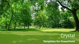  Presentation with meadow - Slide deck with green - beautiful meadow in the park background and a tawny brown colored foreground