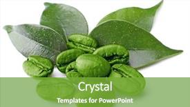  Presentation with coffee beans - Presentation theme consisting of green - coffee beans with leaves isolated background and a tawny brown colored foreground