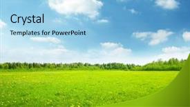  Presentation with perfect - Colorful theme enhanced with green - field of spring flowers backdrop and a light blue colored foreground