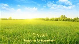  Presentation with summer sun - Amazing presentation theme having green - summer landscape with field backdrop and a tawny brown colored foreground