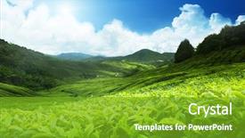  Presentation with tea plantation - PPT layouts with green - tea plantation cameron highlands malaysia background and a tawny brown colored foreground