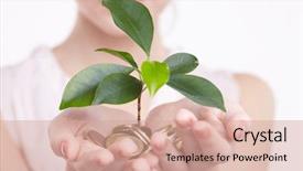  Presentation with sprouting plant - Cool new theme with money green - woman's hands holding plant sprouting backdrop and a coral colored foreground