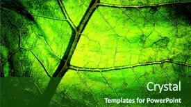  Presentation with bright - Presentation theme with green abstract black - bright grunge wooden mix background and a forest green colored foreground