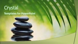  Presentation with water bamboo - Slide deck with green abstract black - grean bamboo leaves over zen background and a forest green colored foreground