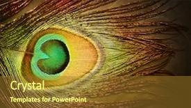  Presentation with peacock feather - Slides featuring green abstract black - peacock feather background and a tawny brown colored foreground