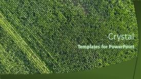  Presentation with green lines - Slides having green-abstract-image-of-diagonal background and a tawny brown colored foreground