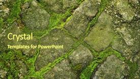  Presentation with lichen mosses moss - Slides with green abstract solid - stone covered by moss background and a tawny brown colored foreground