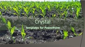  Presentation with blue green - PPT theme having green-agricultural-farm-field background and a tawny brown colored foreground