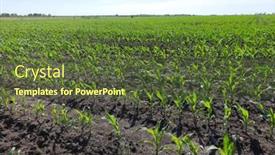  Presentation with blue green - PPT theme with green-agricultural-farm-field background and a tawny brown colored foreground