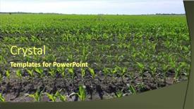  Presentation with blue green - Presentation theme consisting of green-agricultural-farm-field background and a tawny brown colored foreground