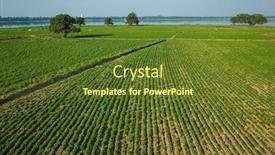  Presentation with agriculture field - Cool new presentation theme with green-agriculture-field-near-taung backdrop and a tawny brown colored foreground