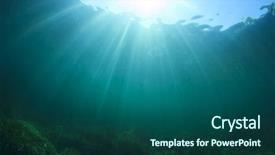  Presentation with green algae - Amazing slides having green algae - underwater background photo backdrop and a ocean colored foreground