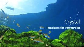  Presentation with green algae - Slide set featuring green-algae-blue-water background and a ocean colored foreground