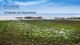  Presentation with green algae - Presentation design consisting of green-algae-covered-boulders background and a light blue colored foreground