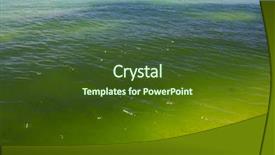 Presentation with green algae - Slide set enhanced with green algae in sea background and a tawny brown colored foreground