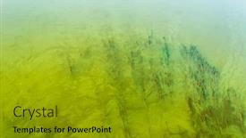  Presentation with green algae - Slides with green-algae-on-the-surface background and a gold colored foreground