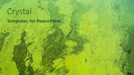  Presentation with green algae - Colorful theme enhanced with green-algae-on-the-surface backdrop and a yellow colored foreground