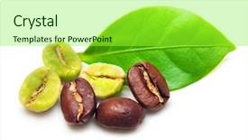  Presentation with green coffee beans - PPT theme having green and black coffee beans background and a  colored foreground