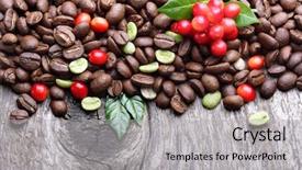  Presentation with green coffee beans - Beautiful slides featuring abstract frozen autumn oak brunch on green grass background backdrop and a dark gray colored foreground