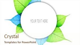  Presentation with elegant abstract of blue green - Colorful slide set enhanced with green and blue leaf abstract backdrop and a cream colored foreground