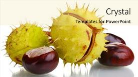  Presentation with white green - Cool new slides with green-and-brown-chestnuts-isolated backdrop and a blonde colored foreground