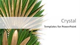  Presentation with green gold - Audience pleasing slides consisting of green-and-gold-tropical-leaves backdrop and a white colored foreground