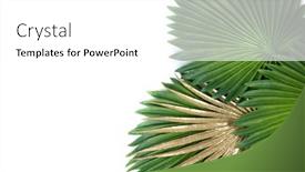  Presentation with green gold - Cool new theme with green-and-gold-tropical-leaves backdrop and a white colored foreground