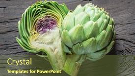  Presentation with edible flower - Slides with green-and-purple-artichoke-flower background and a tawny brown colored foreground