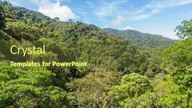  Presentation with tropical forest - Amazing slide deck having green-and-thick-tropical-rain backdrop and a tawny brown colored foreground