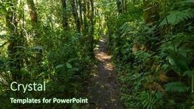  Presentation with tropical forest - Beautiful presentation featuring green-and-thick-tropical-rain backdrop and a tawny brown colored foreground