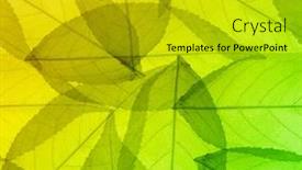  Presentation with skeletons - PPT theme consisting of green-and-yellow-leaves-skeletons background and a gold colored foreground